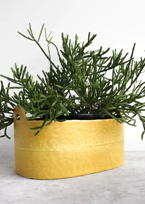 Elizabeth Benotti | Pinched Basket
