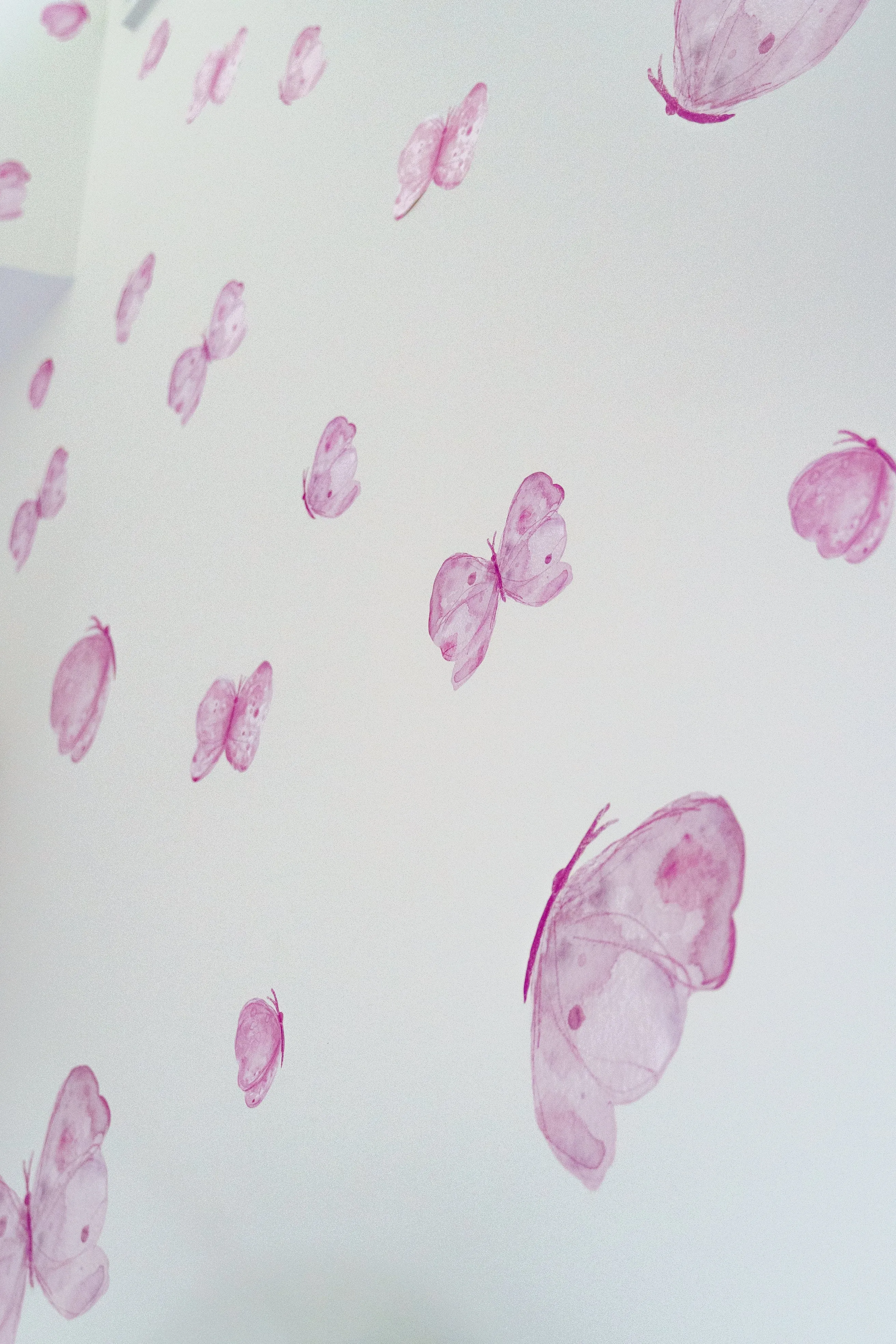 Felicity Butterflies Wall Decal Set