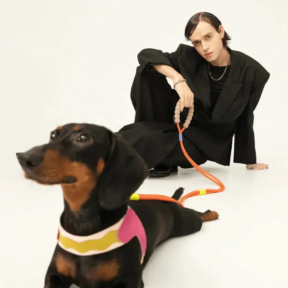 Marshmallow Multi-function Dog Leash