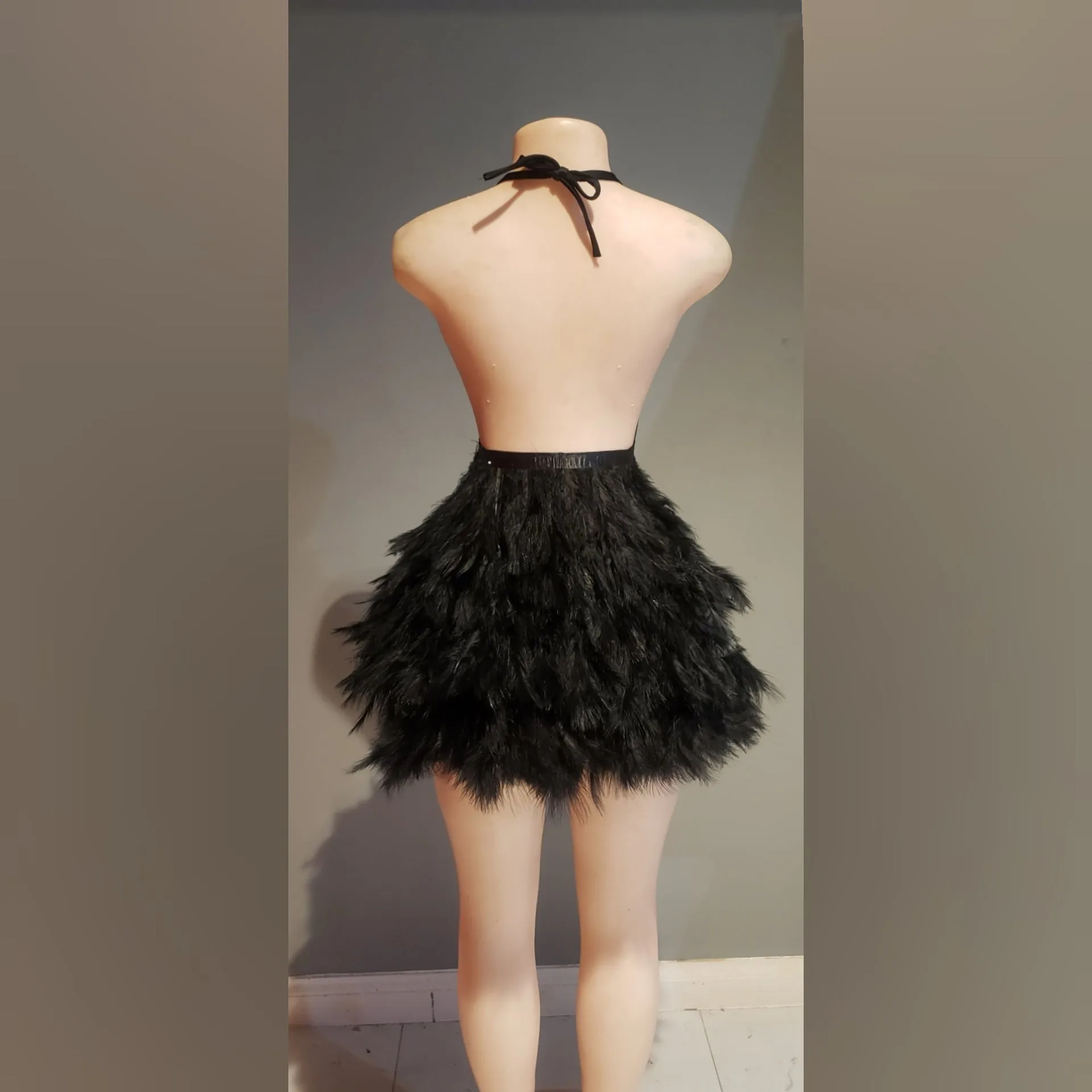 Raine embroidery feather short dress