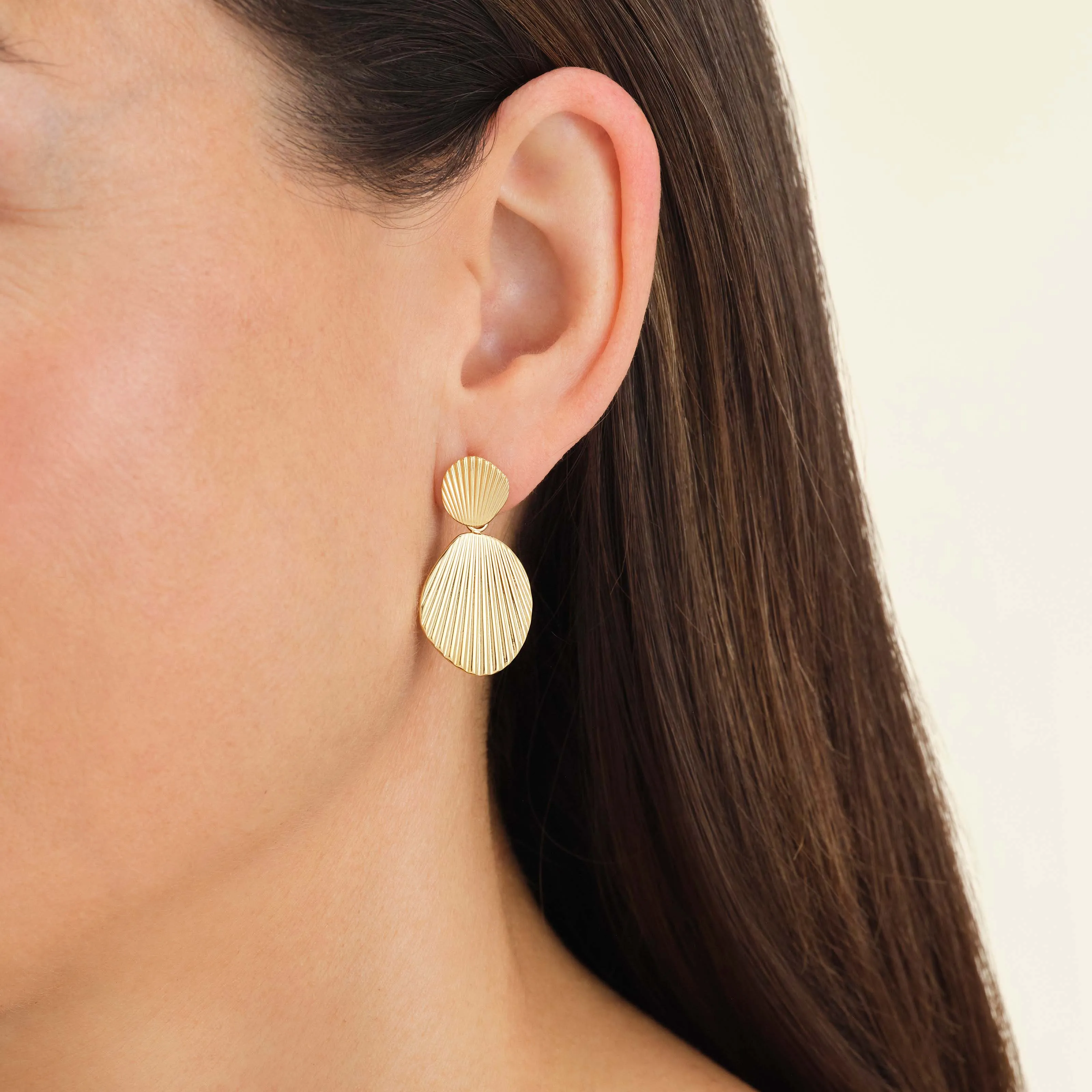 Shell earrings