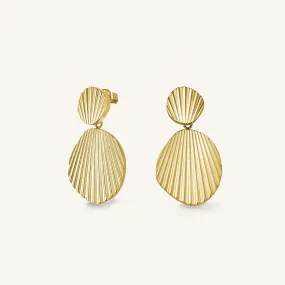 Shell earrings