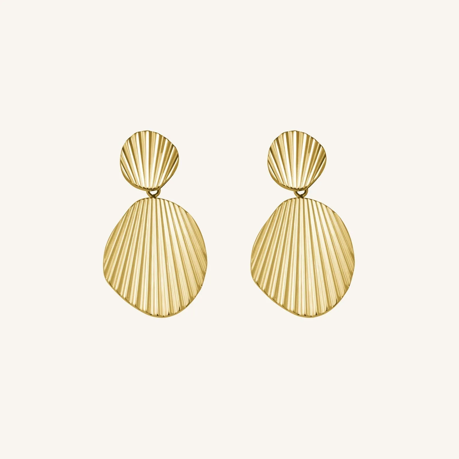 Shell earrings