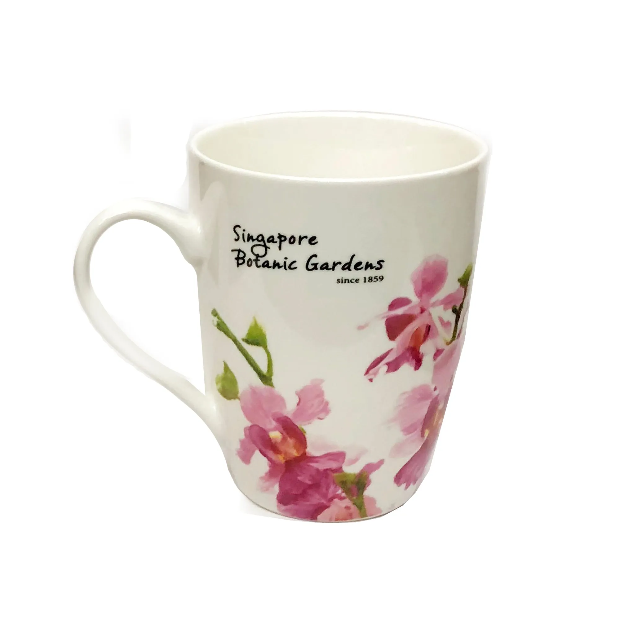 Vanda Miss Joaquim Mug